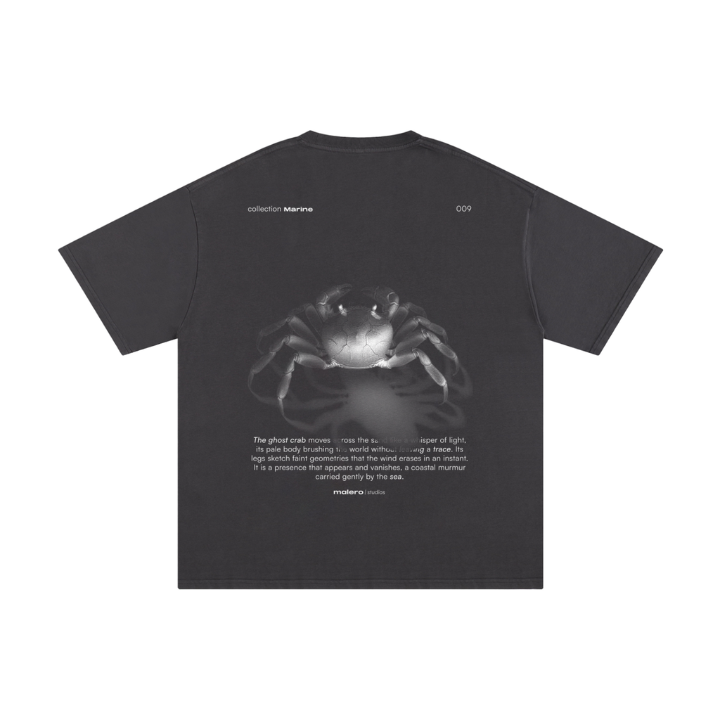 The Ghost Crab