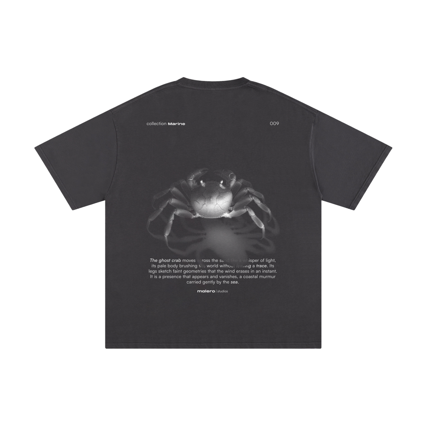 The Ghost Crab
