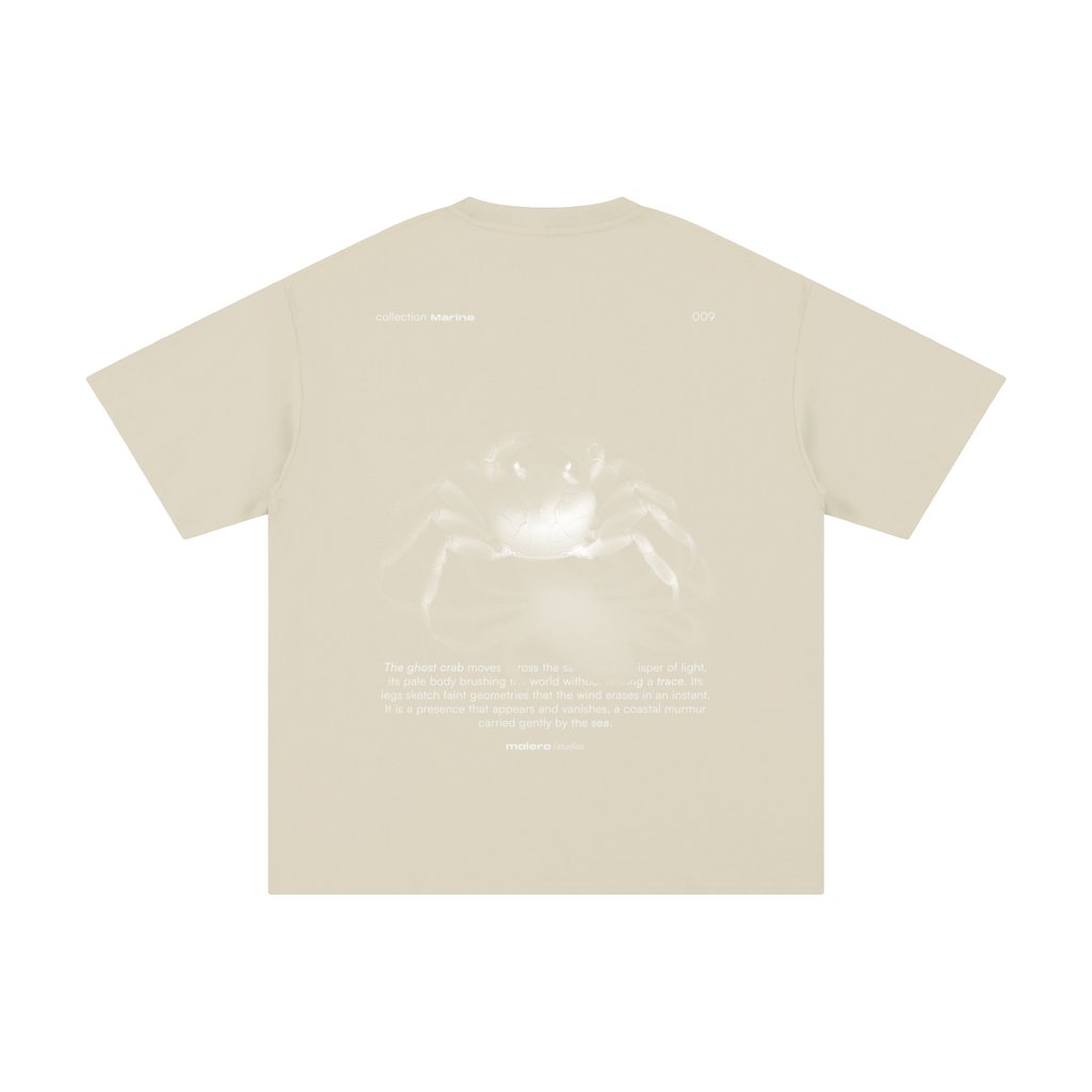 The Ghost Crab