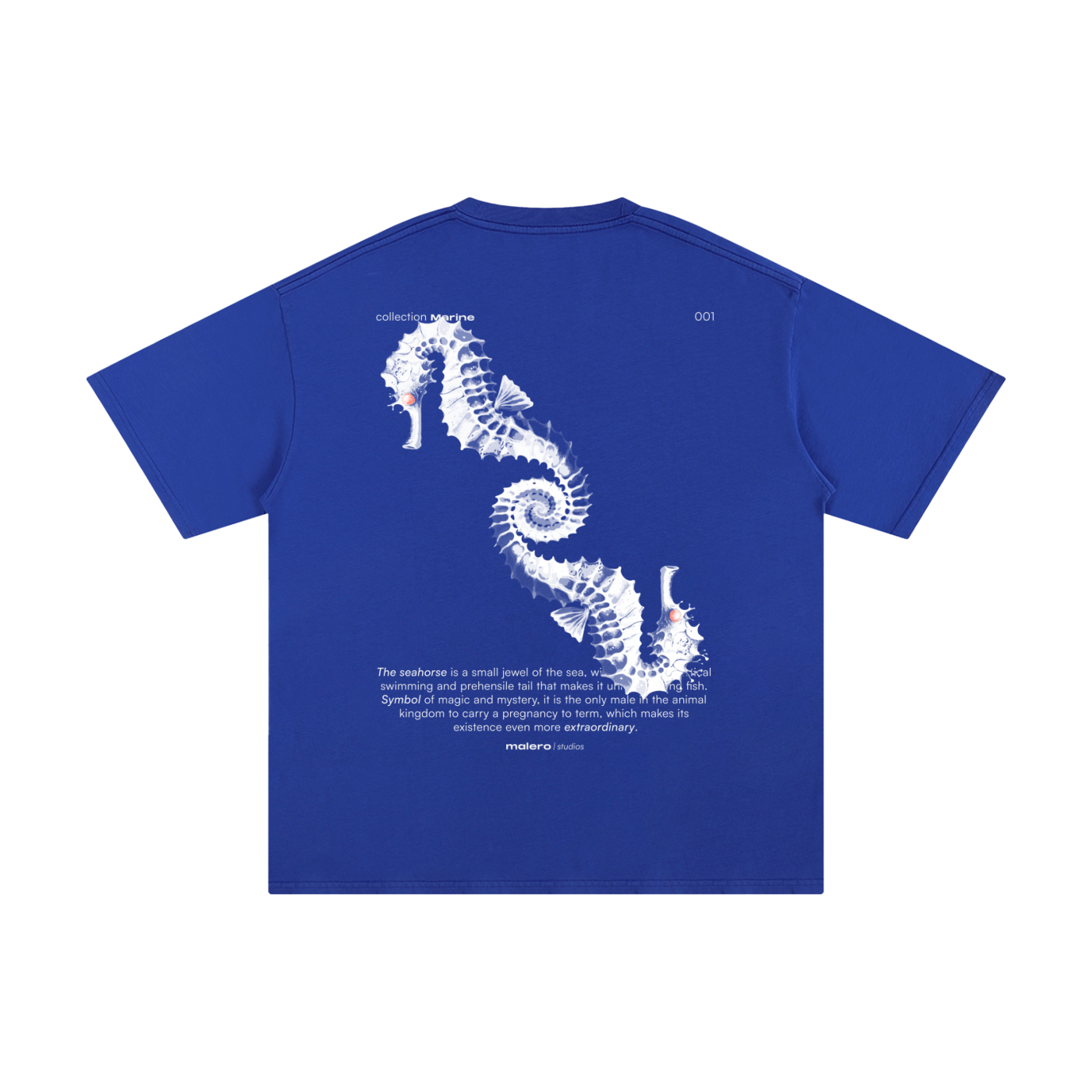 The Seahorse