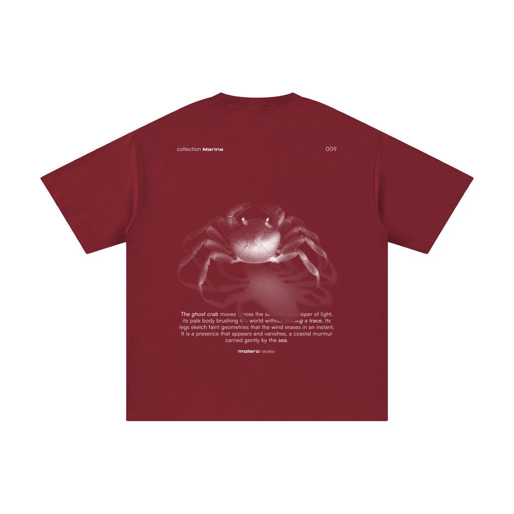 The Ghost Crab
