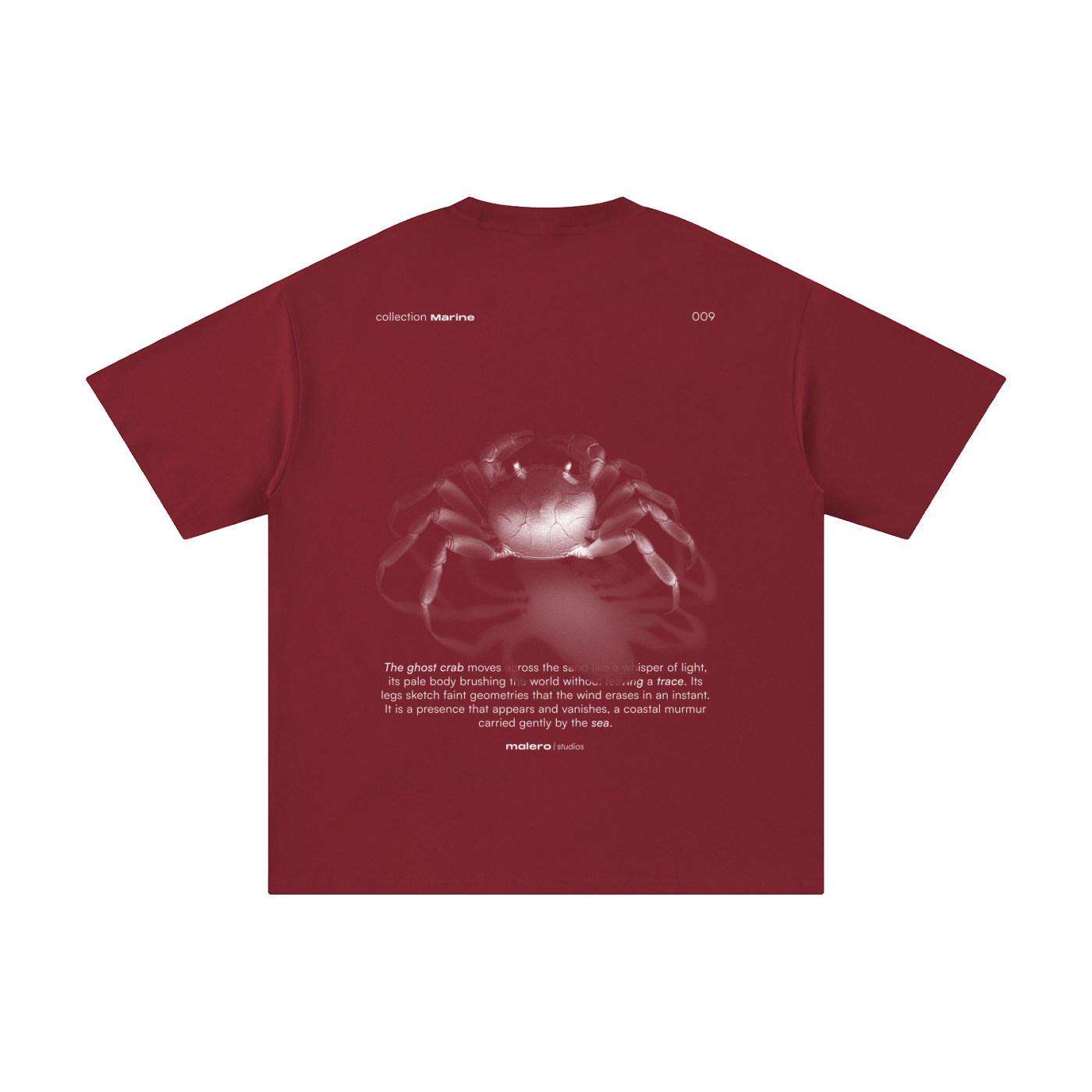 The Ghost Crab