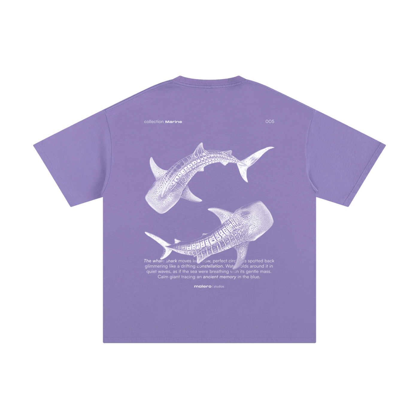 The Whale Shark