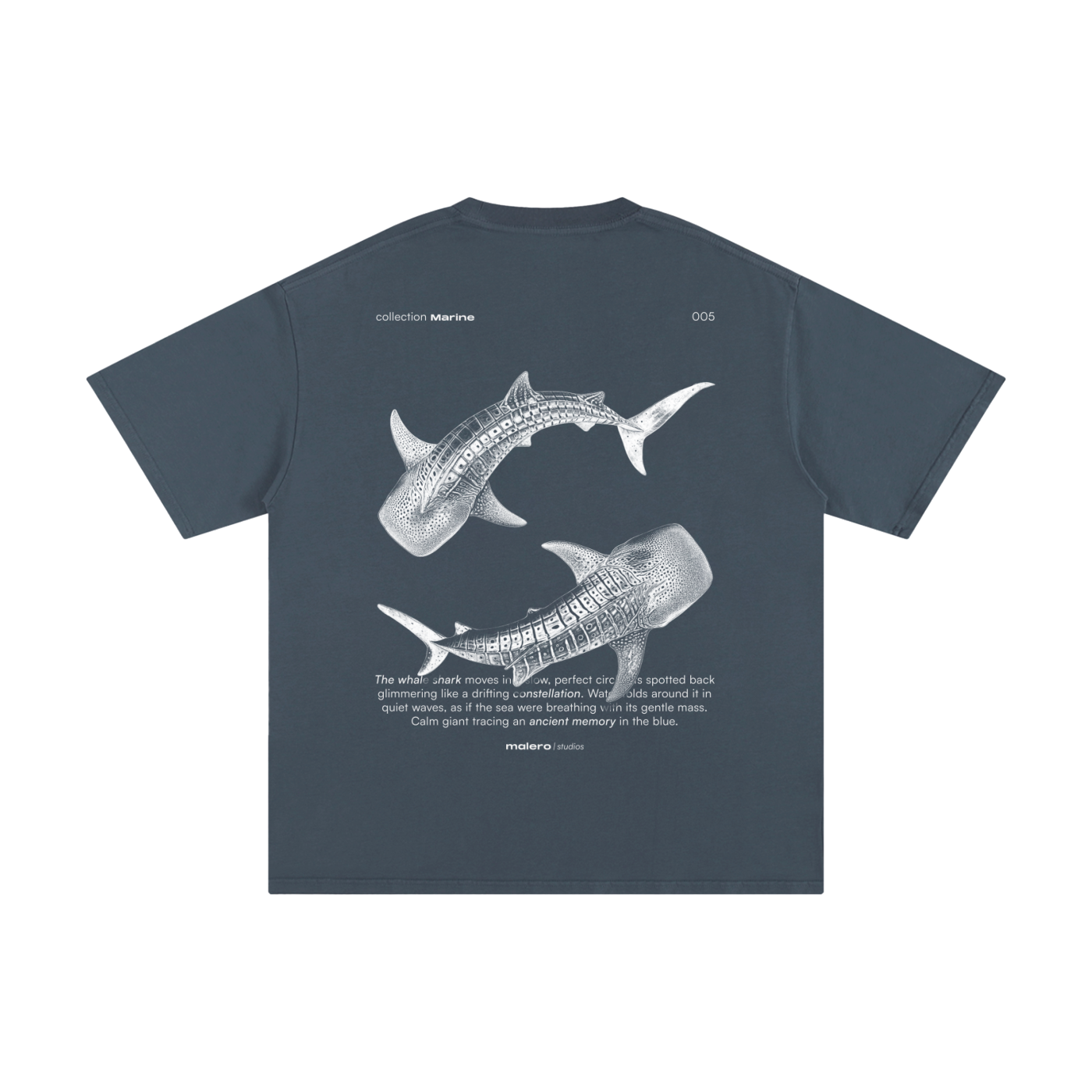 The Whale Shark