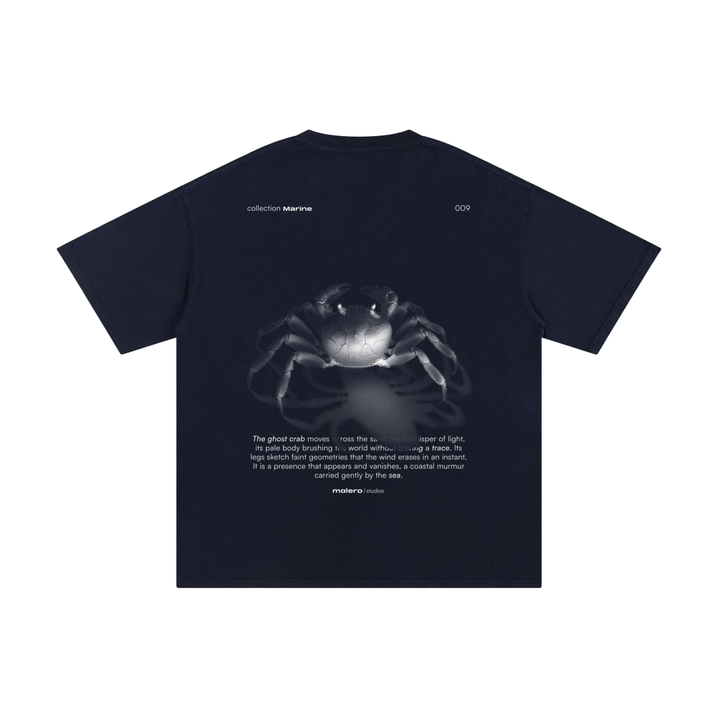 The Ghost Crab
